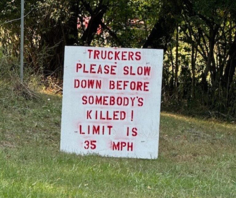 “Slow down before somebody’s killed!” Residents put up own signs along dangerous highway