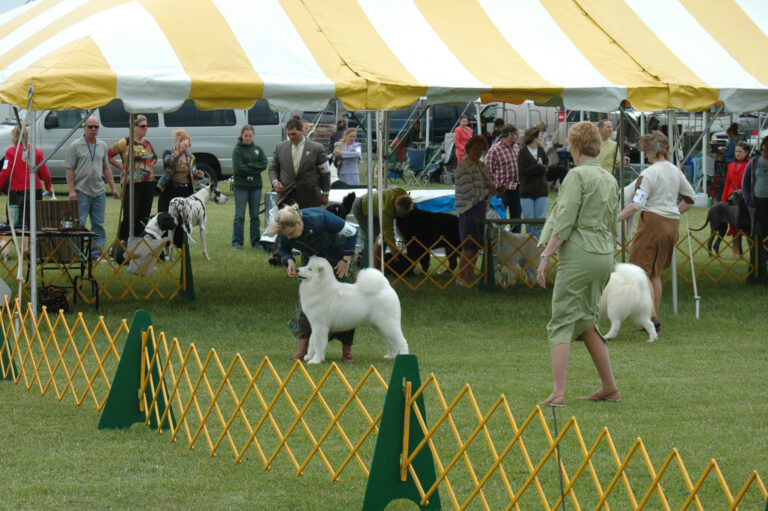 See your favorite canines at this weekend’s dog show