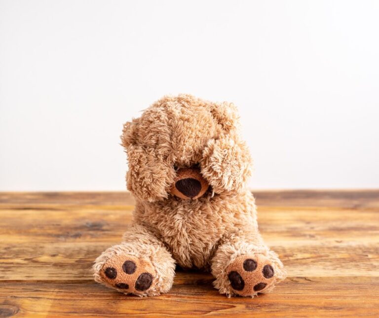 Steubenville mother battles local priests for custody of her son