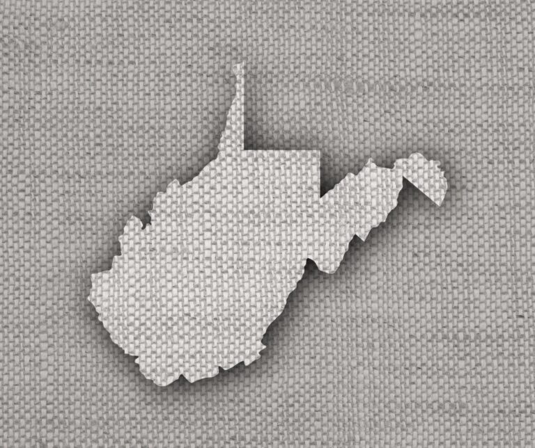 West Virginia statewide election results