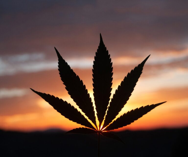 Ohio Attorney General Rejects Summary Language for Cannabis Repeal Referendum