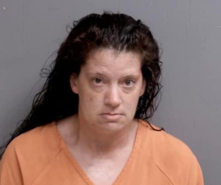 Belmont County woman lands in local jail following traffic stop - River ...