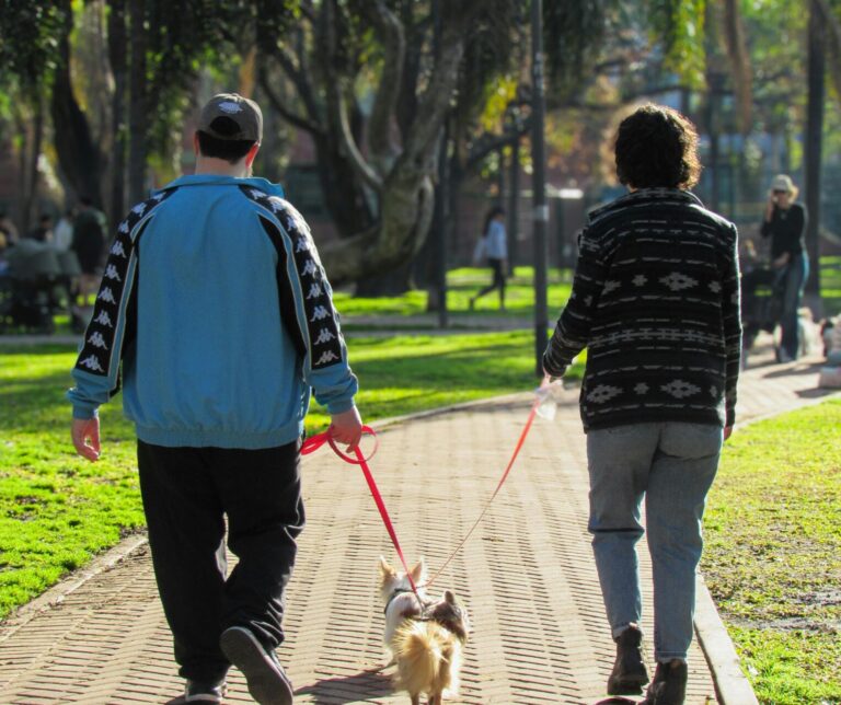 Wintersville Dog Park Gets a Literary Twist with “StoryWalk for Dogs”