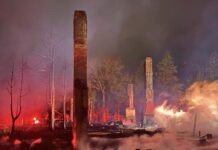 Questions Raised After Aspen Manor Fire Highlights Hydrant Maintenance Concerns