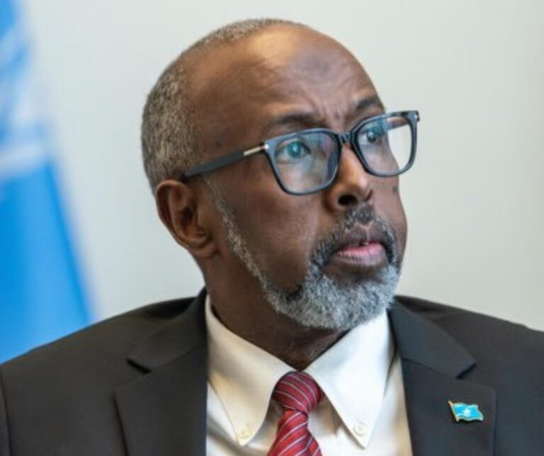 Ohio Records Link Somali UN Official to Healthcare Company Involved in Medicaid Fraud