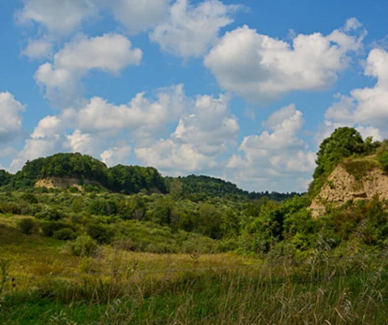 State Approves Bidding for Drilling Rights Beneath Egypt Valley and Belmont County Wildlife Areas